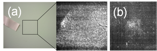 グリーンレーザー励起時の蛍光スペクトル画像。肉眼では検知不能な(a)壁に潜在する掌紋画像、(b)切符磁気面に潜在する指紋画像（早稲田大学の発表資料より）