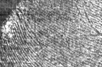 グリーンレーザー励起時の蛍光スペクトル画像。肉眼では検知不能な(a)壁に潜在する掌紋画像、(b)切符磁気面に潜在する指紋画像（早稲田大学の発表資料より）