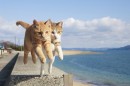 猫がジャンプする瞬間を収めた写真集『飛び猫』が発売された。 猫がジャンプする瞬間を収めた写真集『飛び猫』が発売された。