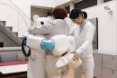 ROBEARによる立った姿勢での抱きかかえ（理化学研究所の発表資料より）