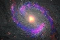 アルマ望遠鏡とハッブル宇宙望遠鏡で観測した、渦巻銀河M77の中心部。アルマ望遠鏡で検出されたシアノアセチレン（HC3N）の分布を黄色、硫化炭素（CS）の分布を赤、一酸化炭素の分布を青で示している（Credit: ALMA(ESO/NAOJ/NRAO), S. Takano et al., NASA/ESA Hubble Space Telescope and A. van der Hoeven）