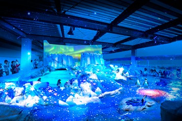 京都水族館で開業3周年を祝う新企画、大水槽と3Dプロジェクションマッピングが夢の共演