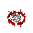 カーボンナノチューブ分子ベアリングの歳差運動(東北大学とJSTの発表資料より) カーボンナノチューブ分子ベアリングの歳差運動(東北大学とJSTの発表資料より)