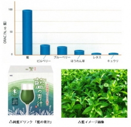 寿スピリッツ<2222>(東1)傘下の寿製菓は2013年から、島根大学生物資源科学部横田一成教授とタデアイ(藍)の機能性について共同研究を行っているが、世界で初めてタデアイ(藍)に新規フラボノイド発見など研究成果を薬学分野の学術誌に発表した。 寿スピリッツ<2222>(東1)傘下の寿製菓は2013年から、島根大学生物資源科学部横田一成教授とタデアイ(藍)の機能性について共同研究を行っているが、世界で初めてタデアイ(藍)に新規フラボノイド発見など研究成果を薬学分野の学術誌に発表した。