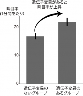 ニコチン受容体に関係する遺伝子CHRNA4のrs1044396という部位のシトシン(C)がチミン(T)に置換しているグループ(47名)では、そうでないグループ(57名)と比べて、3割も瞬目率が上昇していた(写真:大阪大学の発表資料より) ニコチン受容体に関係する遺伝子CHRNA4のrs1044396という部位のシトシン(C)がチミン(T)に置換しているグループ(47名)では、そうでないグループ(57名)と比べて、3割も瞬目率が上昇していた(写真:大阪大学の発表資料より)