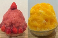 東京・巣鴨のかき氷専門店「雪菓」人気メニュー“いちごまみれ”や、キウイを使った新作
