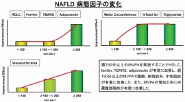 非アルコール性脂肪性肝疾患（NAFLD）の病態因子の変化を示す図（筑波大学の発表資料より）
