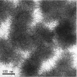 東北大学の浅尾直樹教授・中山幸仁准教授の研究グループが作成に成功した、極めて細いチタン酸ナノワイヤー。無数に絡み合ってマリモのような特徴的な集合体をつくっている（東北大学の発表資料より）