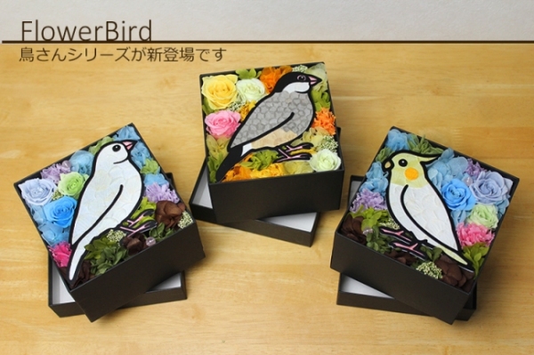 愛らしい鳥シリーズ（岡田商会発表資料より）