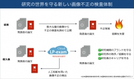 エルピクセルが提供する画像不正の検査体制（エルピクセルの提供資料より）