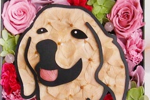 『アニマルフラワー』の一例（岡田商会発表資料より）