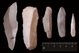 北レヴァント内陸部（ワディ・ハラール16R遺跡）で発見された石器資料。一番右が投擲具の先端部と考えられている石器（エル・ワド型尖頭器）。この石器資料が約3万8～7000年前のものであるという放射性炭素年代を得ることに成功した。この年代は、ヨーロッパのプロト・オーリナシアン文化の年代（約4万2000年前～3万9000年前）よりも新しく、その起源とはいえない。（名古屋大学の発表資料より）