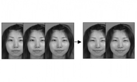 今回の研究で使用された表情刺激の例（幸福表情）（京都大学の発表資料より）