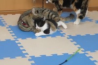 なんでこんなにかわいいのだろう～孫と言う名の宝物～♪と言わんばかりのかわいがりようです。