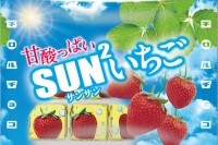 SUNSUNいちご（チロルチョコ発表資料より）
