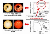 （左） 可視光とCa II線で見た太陽の観測画像（Big Bear Solar Observatoryによる観測データ）とスーパーフレア星を可視光とCa II線で見た場合の想像図。大きな黒点の周囲は、Ca II線で見ると明るくなっている。（右）電離カルシウム（Ca II 854.2[nm]）の吸収線。スーパーフレア星（上のスペクトル）は、太陽（下のスペクトル）と比較して、中心部分が浅く（明るく）なっており、巨大黒点の存在が示唆される。（京都大学の発表資料より）