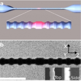 今回の研究で実現した微小共振器内蔵のナノ光ファイバ。a.模式図　b.作成したデバイスの、走査イオン像（SIM）。白い線は、1μm（千分の1mm）。ナノ光ファイバの直径は270nm（京都大学の発表資料より）