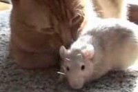 私たちの常識は間違いだった!?。