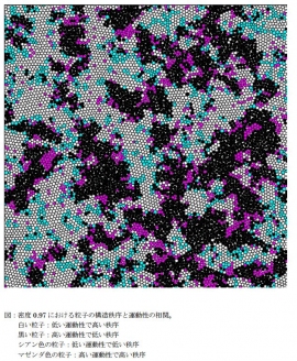 密度0.97における粒子の構造秩序と運動性の相関を示す図(東京大学の発表資料より) 密度0.97における粒子の構造秩序と運動性の相関を示す図(東京大学の発表資料より)