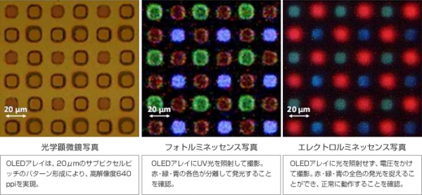 今回、動作実証に成功したOLEDアレイの拡大写真（富士フイルムの発表資料より）