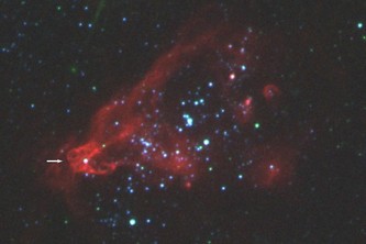 ハッブル宇宙望遠鏡で撮像した矮小銀河ホルムベルクIIにある超高光度X線源 X-1 (矢印) の周辺の多色合成画像。おおぐま座の方向、約1100万光年の距離にある。画像の大きさは約1100光年 × 900 光年。赤色は、水素原子からの輝線 (Hα) を表している。(クレジット：ロシア特別天体物理観測所/ハッブル宇宙望遠鏡)