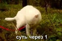 えっ?こっちが驚いてしまいましたよ・・・ホントに突然すごい顔をします。