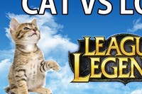 ネトゲーに夢中な飼い主をネタに遊ぶネコちゃんは賢い!