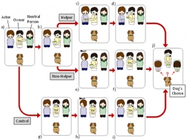 飼い主と実験者がやり取りをする場面を見せる実験の概要を示す図。（京都大学の発表資料より）