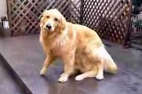 いやぁ～まったく気が付きませんでした。