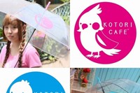 さりげないイラストがキュートな『ことりカサ』（ことりカフェ発表資料より）