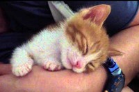 かわいすぎてキスしたのに、その結果もっとかわいいことに・・・。