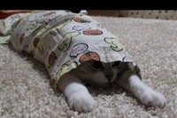 パジャマのズボンから出すためにはこんな苦労があるんです。