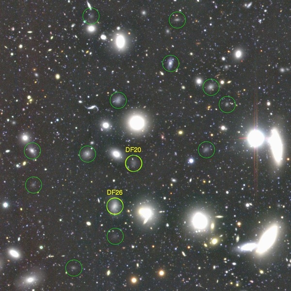 すばる望遠鏡による B, R, i バンド画像を合成した疑似カラー画像。かみのけ座銀河団の中心に近い6分角×6分角の領域を切り出したもの。黄色の丸が昨年おわりに見つかった47個の超暗黒銀河のうちの2つ。すばる望遠鏡アーカイブデータから、さらに緑色の丸で囲まれた超暗黒銀河が見つかった。(国立天文台)