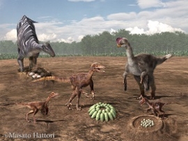 兵庫県立人と自然の博物館は、丹波市山南町に分布する篠山層群から発見された恐竜卵殻化石の1種類が、新卵属・新卵種であることが判明したと発表した。写真：兵庫県立人と自然の博物館の発表資料より