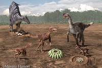 兵庫県立人と自然の博物館は、丹波市山南町に分布する篠山層群から発見された恐竜卵殻化石の1種類が、新卵属・新卵種であることが判明したと発表した。写真：兵庫県立人と自然の博物館の発表資料より
