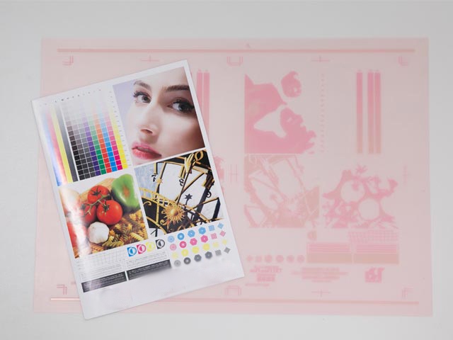 省資源で経済的な印刷方式として、世界的に関心が高まるフレキソ印刷。日本でも市場の発展と成長を見込んで、住友理工など、印刷業界以外からの新規参入も話題になっている。