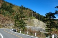 日本旅行業協会が、会員会社381社の社員(営業・企画・カウンターなどの担当)453人を対象に調査したところ、今年はお盆休みの8月よりも、日並びが良いシルバーウィークのある9月に旅行需要がシフトする傾向にあると分かった