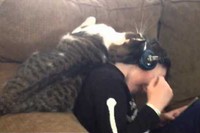 もうそのまんまですが、好きすぎる気持ちが止められないのです!