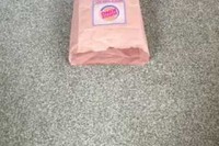 ハンバーガーショップの紙袋からいったい何匹のネコちゃんが!?