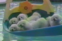 は～い定員オーバーです!そして、君たち片寄りすぎで～す!