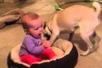 赤ちゃんとのバトルがたまりません!二人!?ともかわいいです。