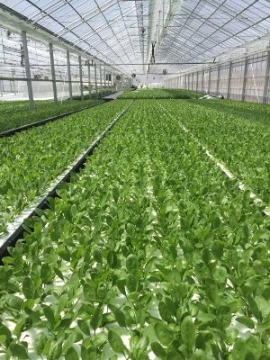 施設内部イメージ(写真:オリックス発表資料より) 施設内部イメージ(写真:オリックス発表資料より)