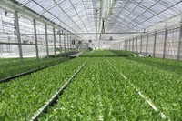 施設内部イメージ（写真：オリックス発表資料より）