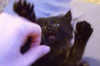 もう毎日見て癒される動画です!何でこんなに可愛いんでしょう!!