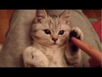 されるがままに手を折りたたんだり広げたりされています!