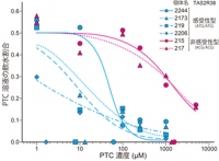 TAS2R38遺伝子型の違いとPTC苦味溶液に対する反応（京都大学の発表資料より）