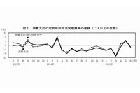 消費支出の対前年同月実質増減率の推移（二人以上の世帯）を示す図（総務省の発表資料より）