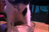 誰にでも「はじめて」のものはドキドキしちゃいますよね!