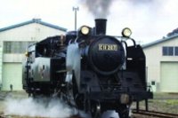蒸気機関車C11形207号機（ＪＲ北海道提供／東武鉄道の発表資料より）
