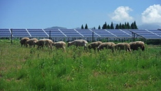 グリーン・コミュニティの実現を目指し国内外でメガソーラー発電所の開発に注力する日本アジアグループ＜３７５１＞（東１）傘下のＪＡＧ国際エナジーは、熊本県阿蘇郡産山村に出力１．８ＭＷ規模のメガソーラー発電所「産山山鹿ソーラーエナジーファーム」を完成した。